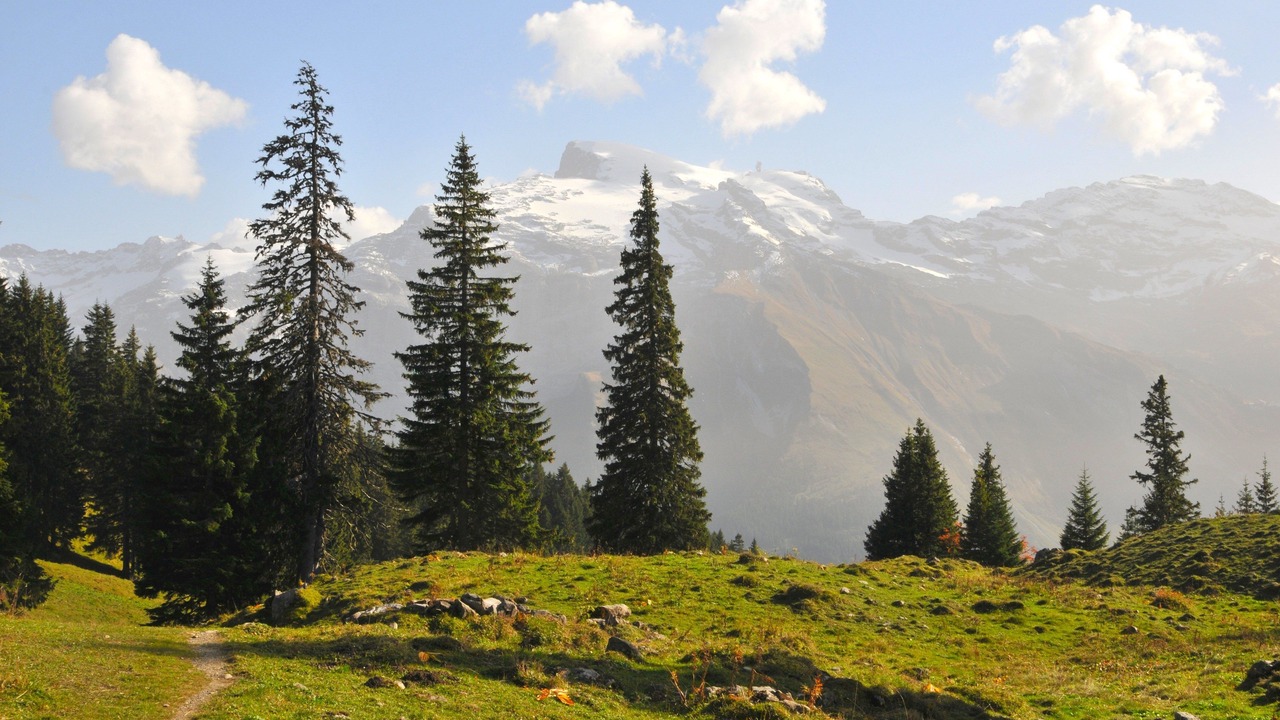 Photo of Others in Engelberg