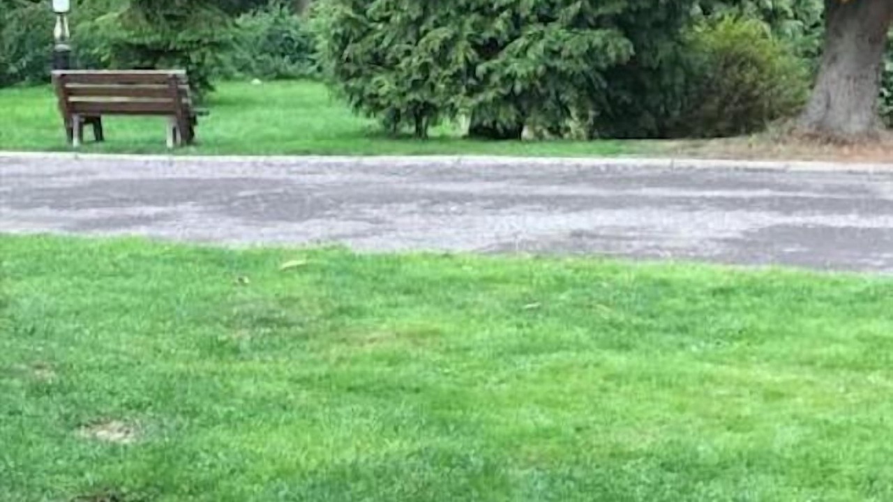 Photo of Others in Ibstock