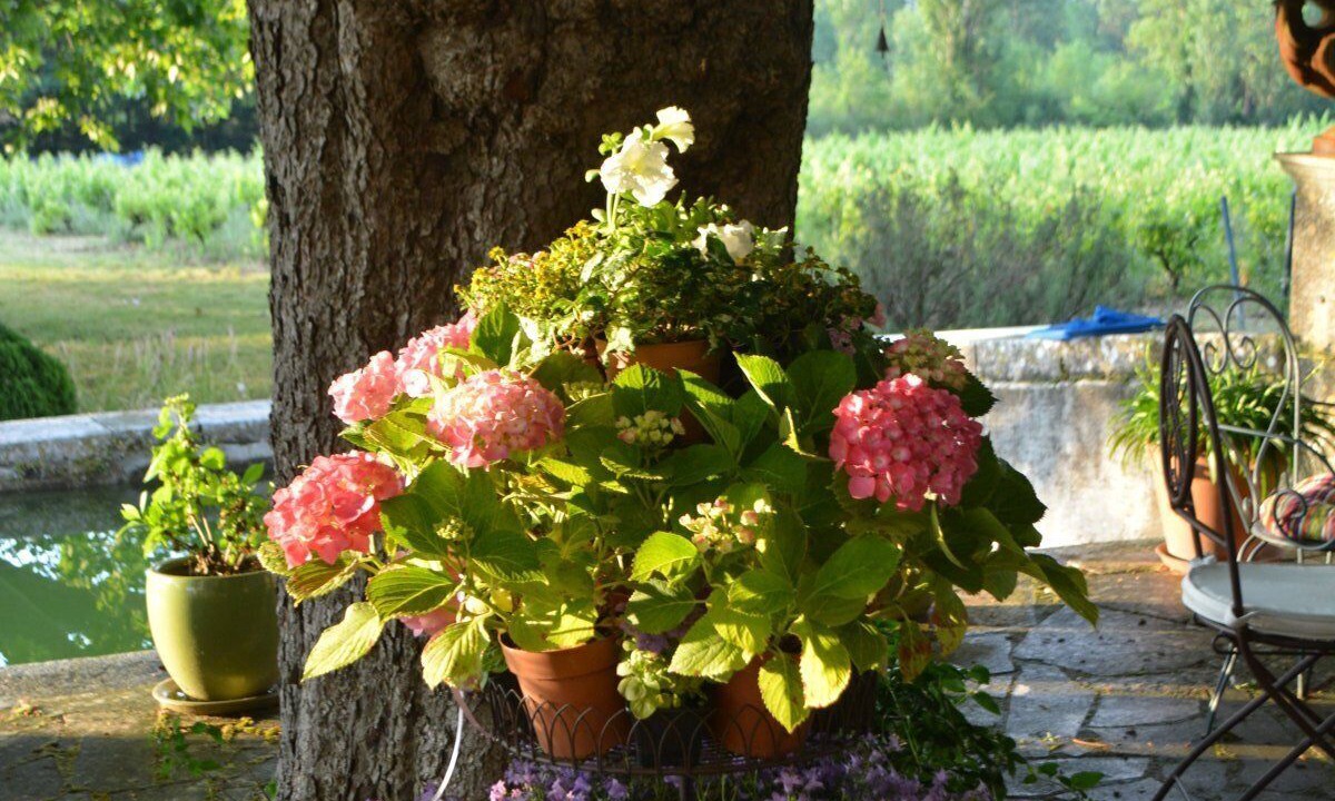 Photo of Patio Balcony in Brignoles
