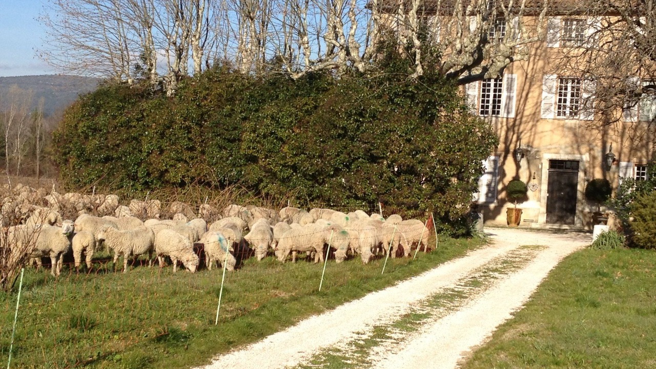 Photo of Outdoor in Brignoles