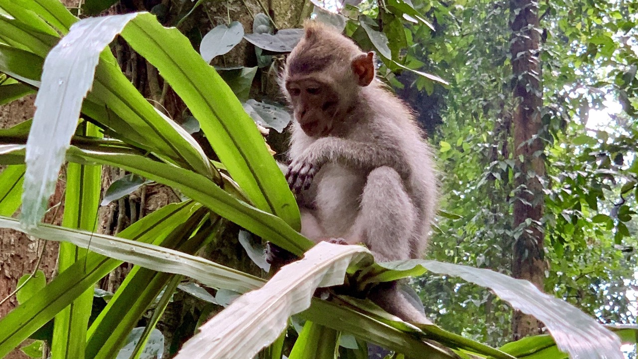 Photo of Others in Mas