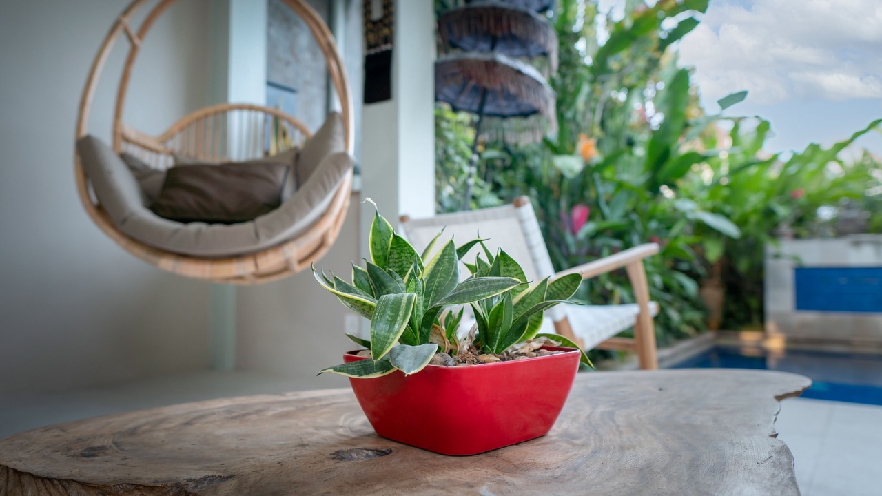 Photo of Outdoor in Mas