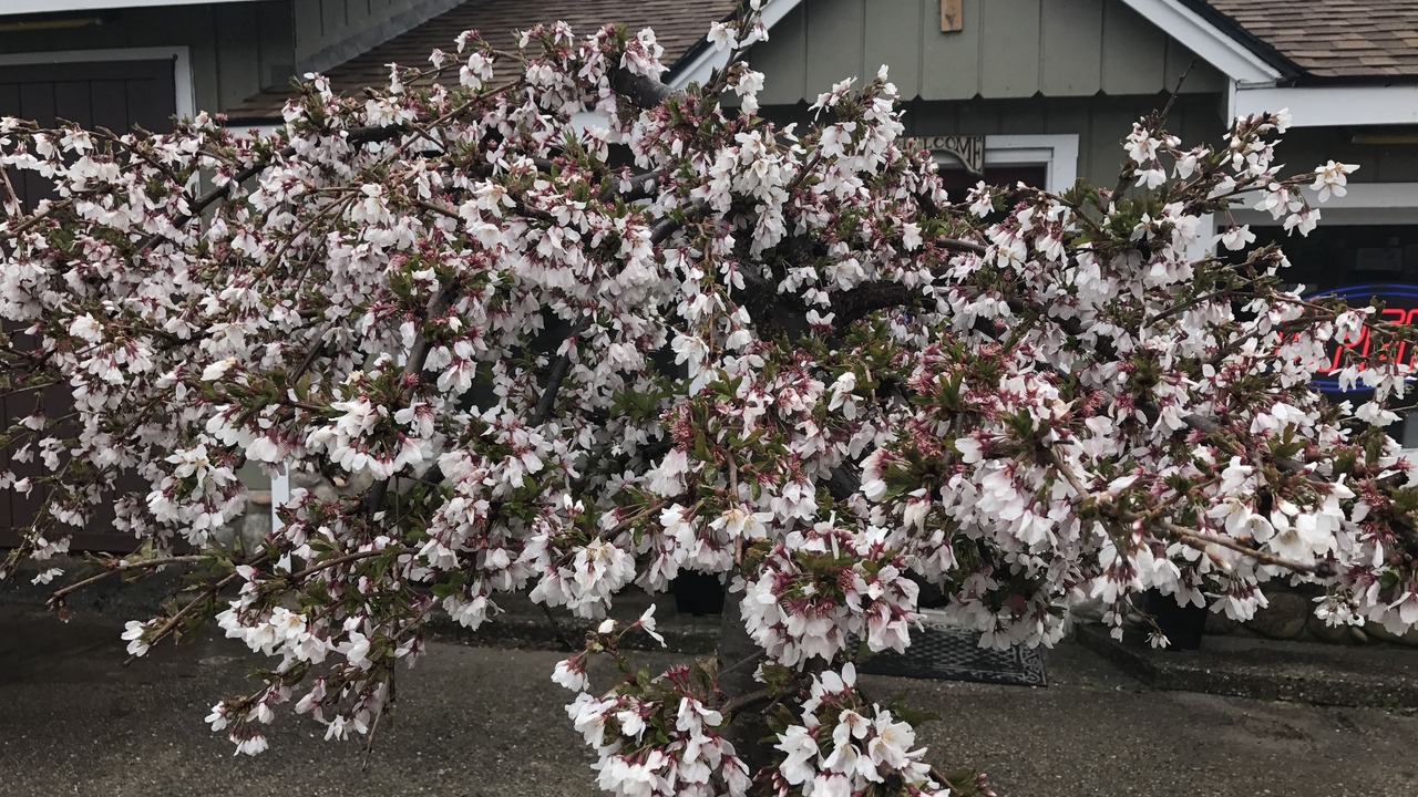 Photo of Outdoor in Honor
