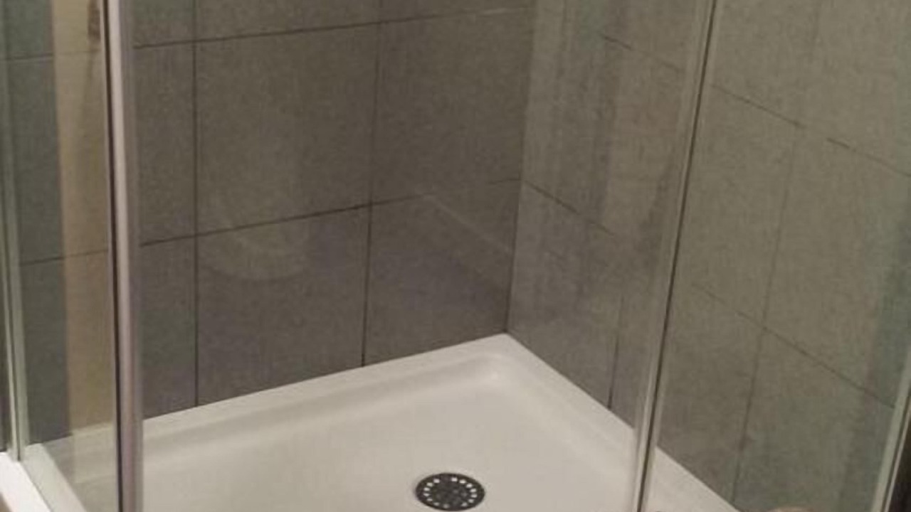 Photo of Others in Dummer