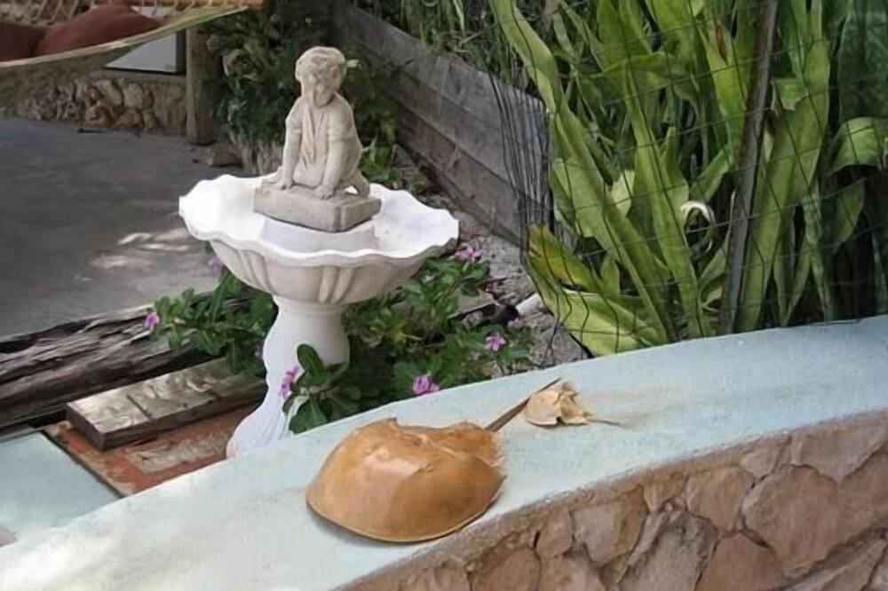 Photo of Outdoor in Long Beach Estates