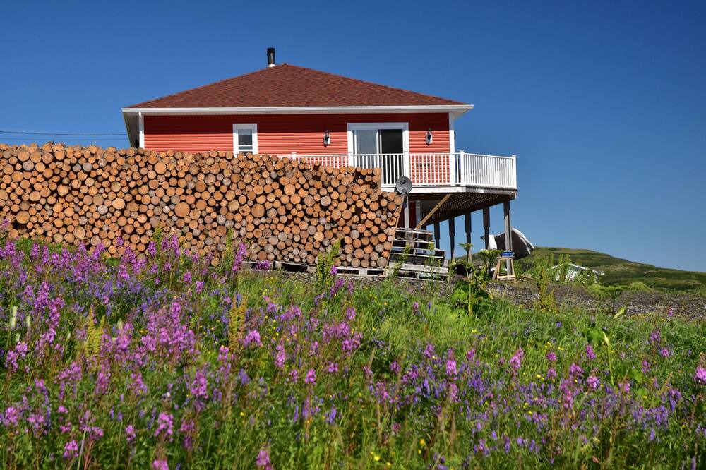 Photo of Outdoor in Saint Lunaire-Griquet