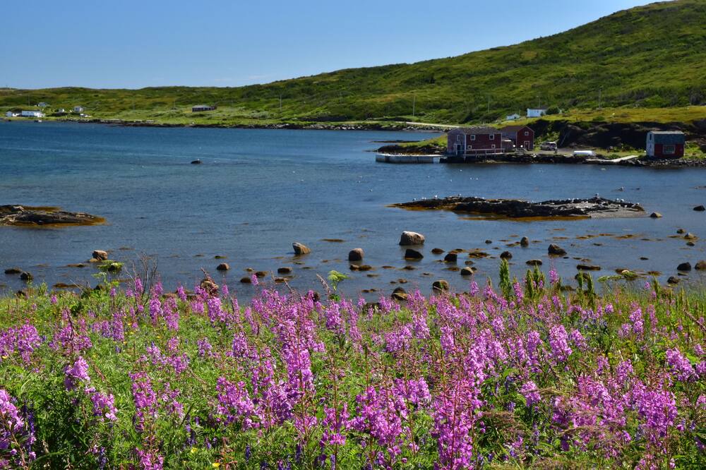 Photo of Outdoor in Saint Lunaire-Griquet