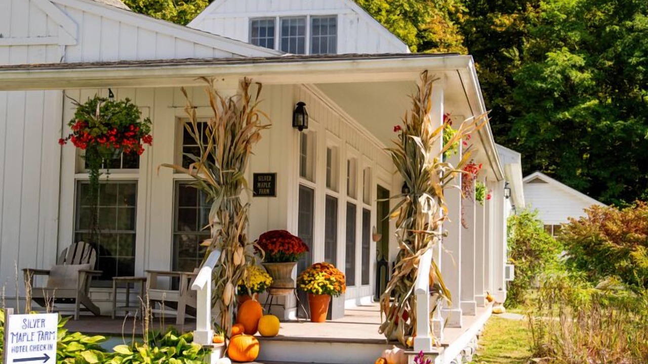 Photo of Outdoor in East Chatham