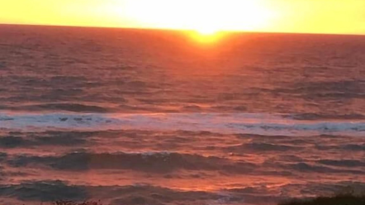 Photo of Others in Hirtshals