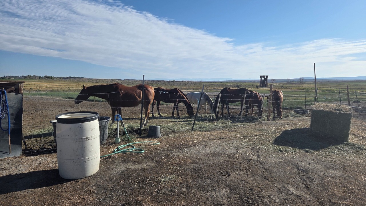 Photo of Others in Emery County