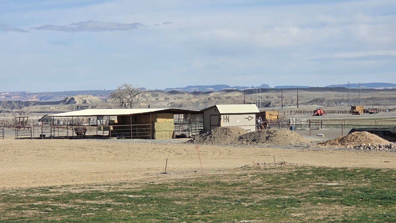 Photo of Others in Emery County