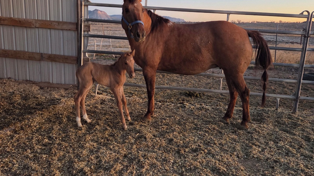 Photo of Others in Emery County