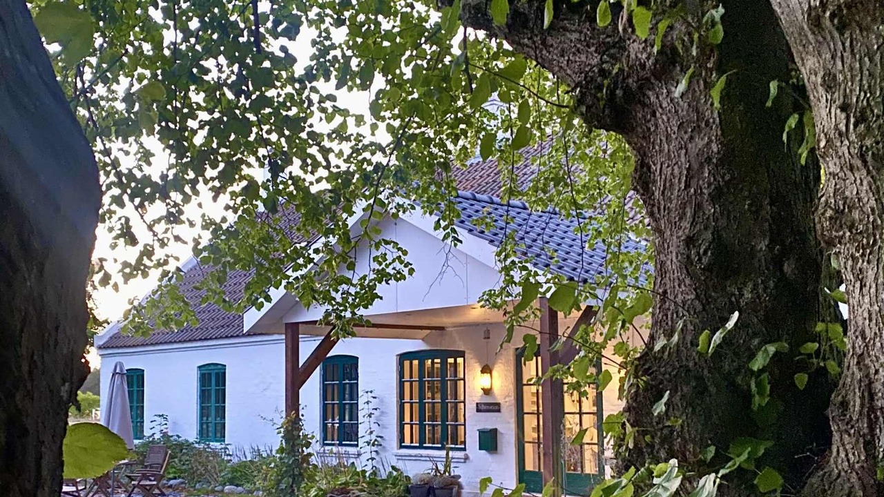 Photo of Outdoor in Læsø