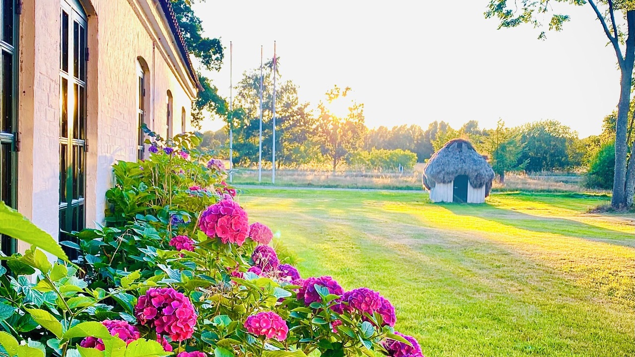 Photo of Outdoor in Læsø