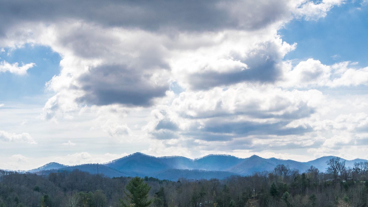 Photo of Others in Candler