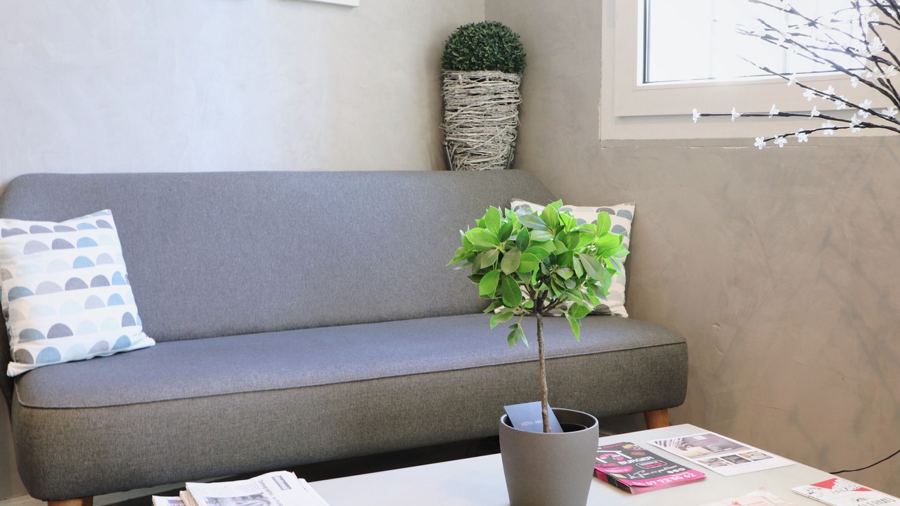 Photo of Livingroom in Celleneuve