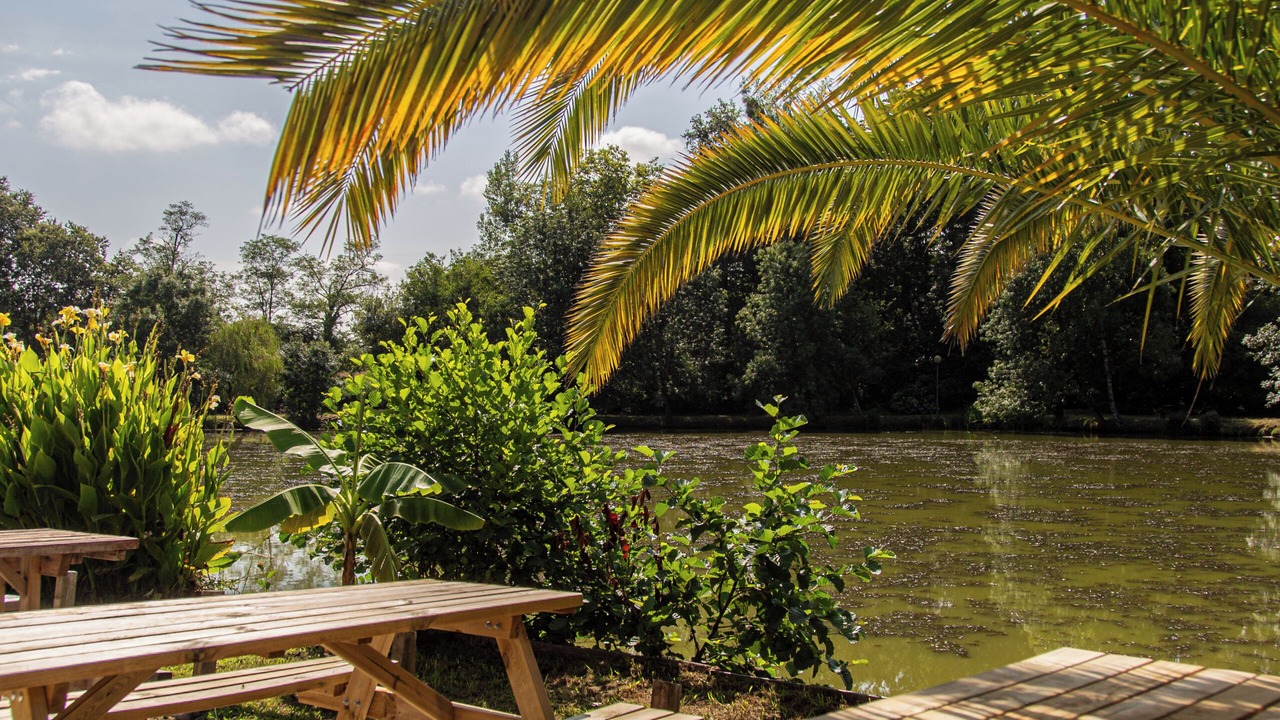 Photo of Outdoor in Belus