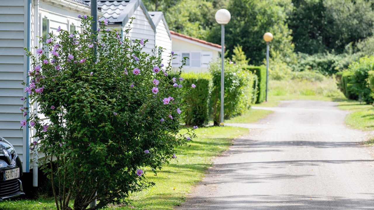 Photo of Outdoor in Belus