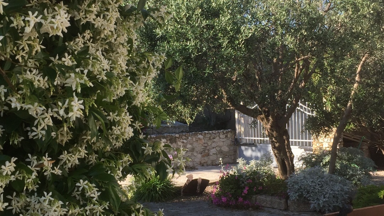 Photo of Outdoor in 13th Arrondissement