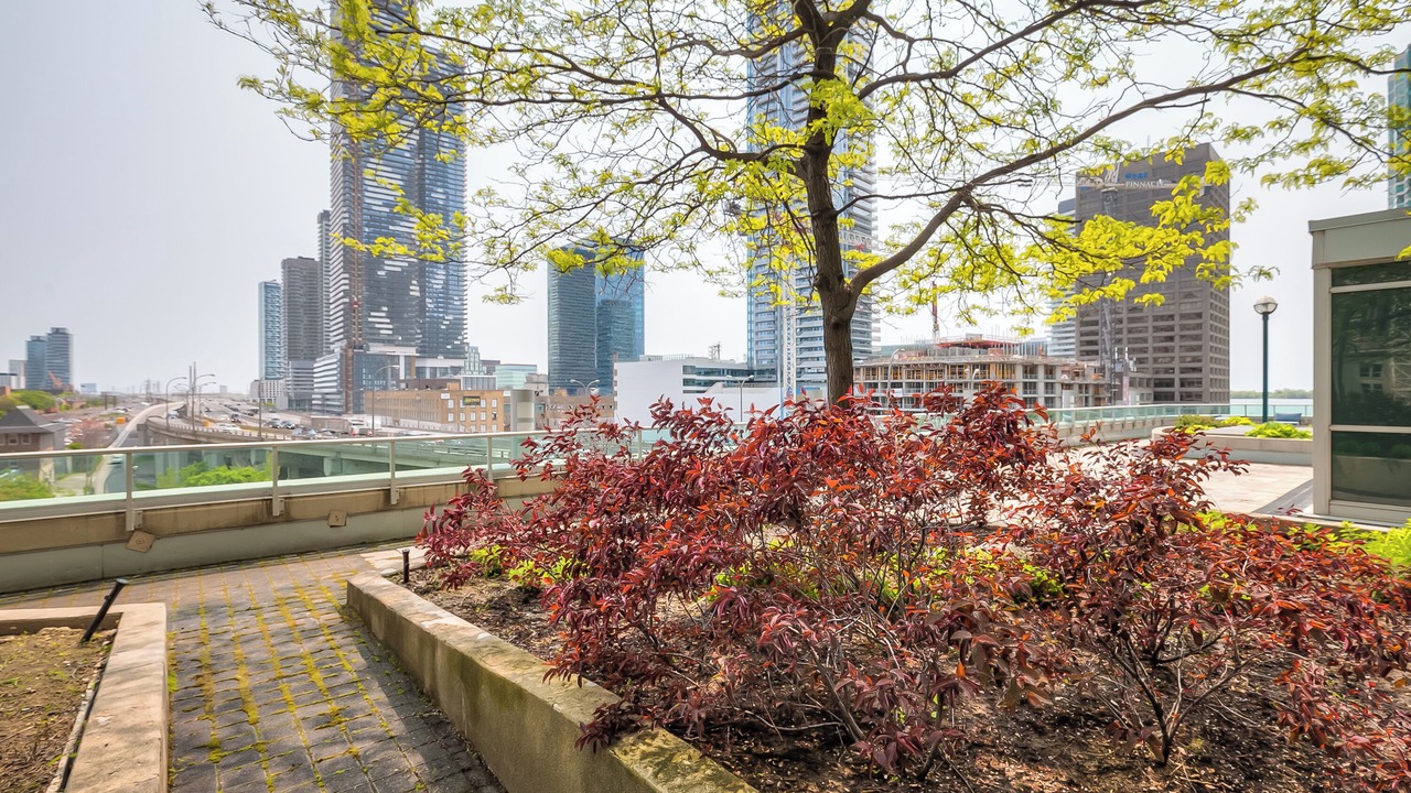Photo of Outdoor in Toronto Entertainment District