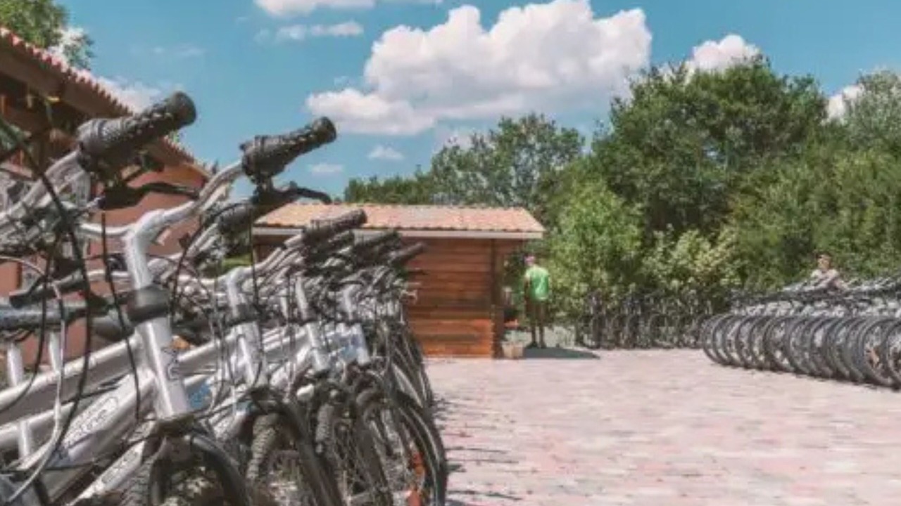 Photo of Outdoor in Saint-Julien-des-Landes