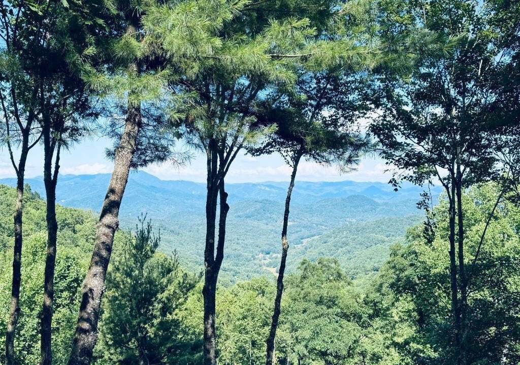 Photo of Others in Waynesville