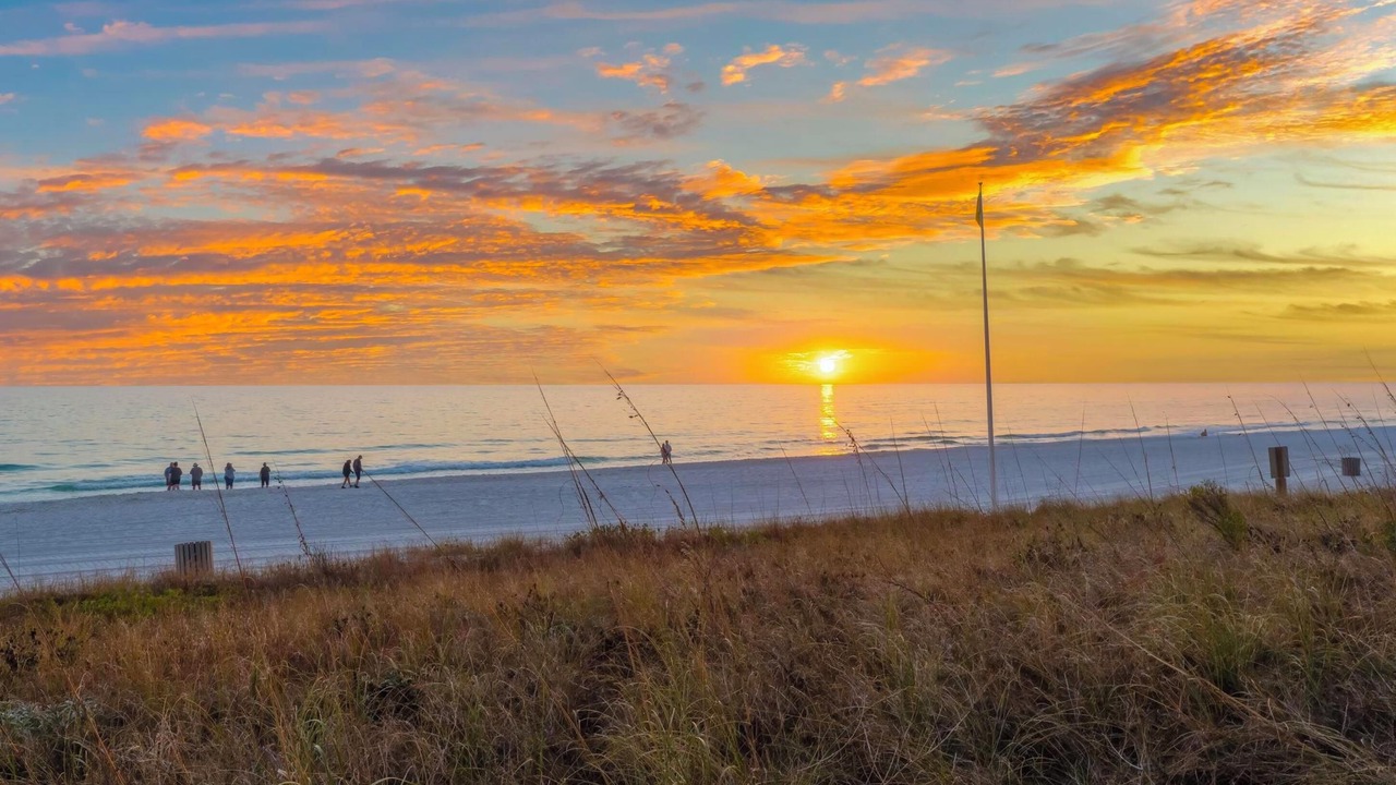 Photo of Others in Gulf Lagoon Beach