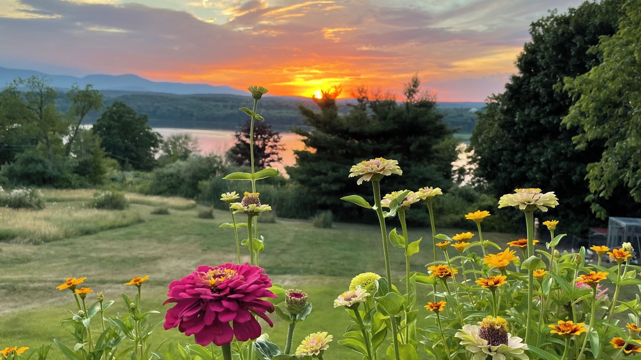 Photo of Outdoor in Hudson
