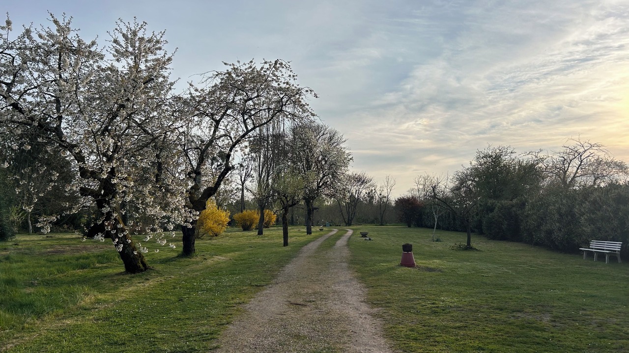 Photo of Outdoor in Chantenay-Saint-Imbert