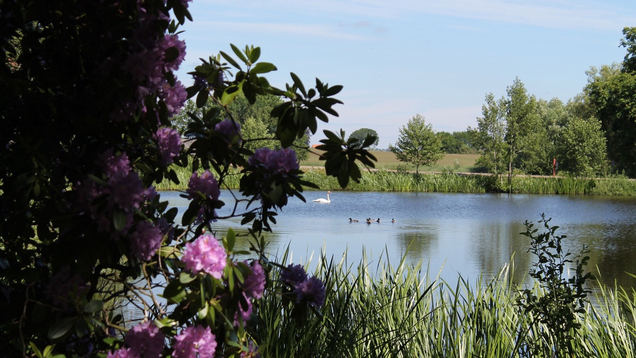 Photo of Outdoor in Jyderup