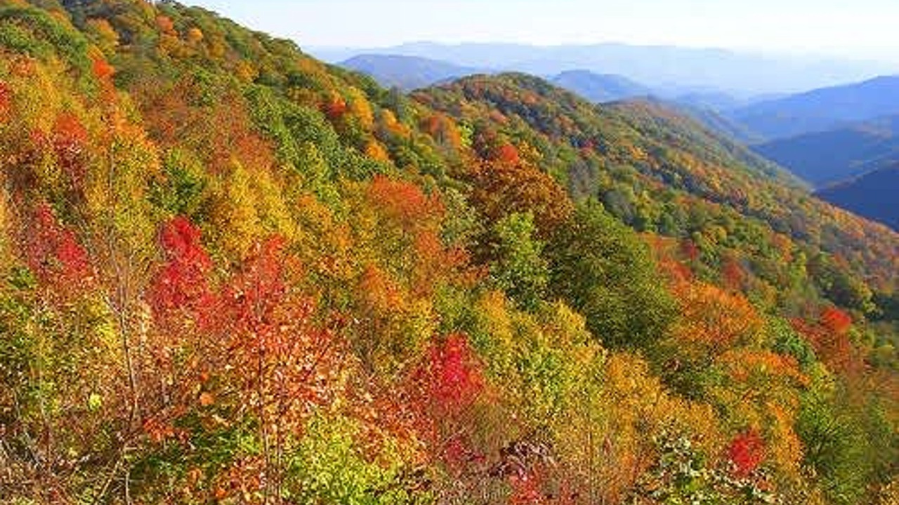 Photo of Others in Hemlock Hills