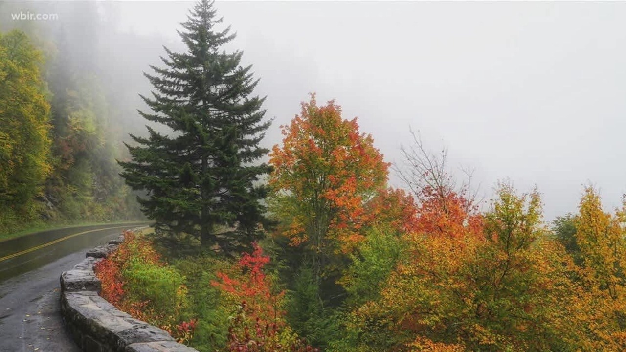Photo of Others in Hemlock Hills