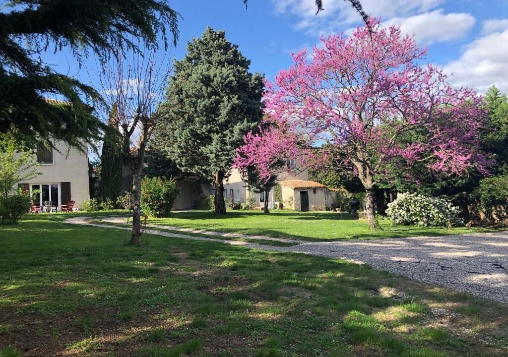 Photo of Outdoor in Chonas-l'Amballan