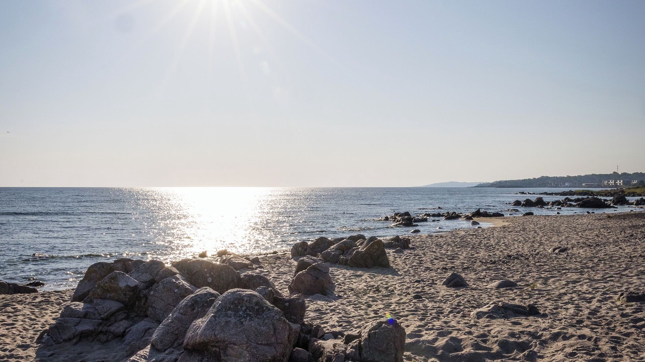 Photo of Others in Sandkaas