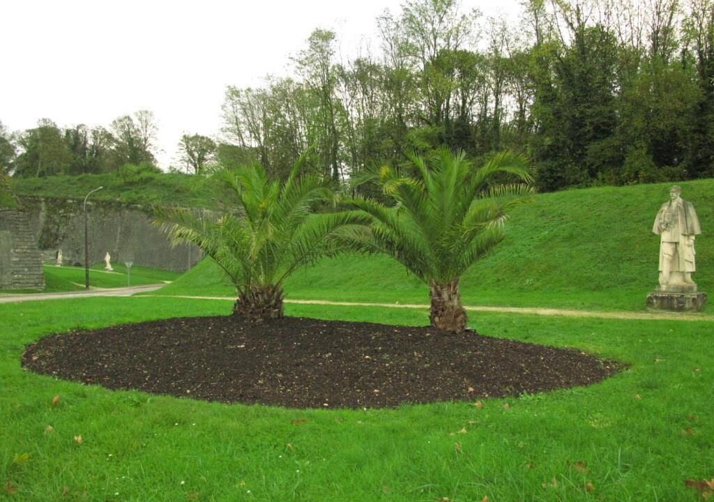 Photo of Outdoor in Verdun
