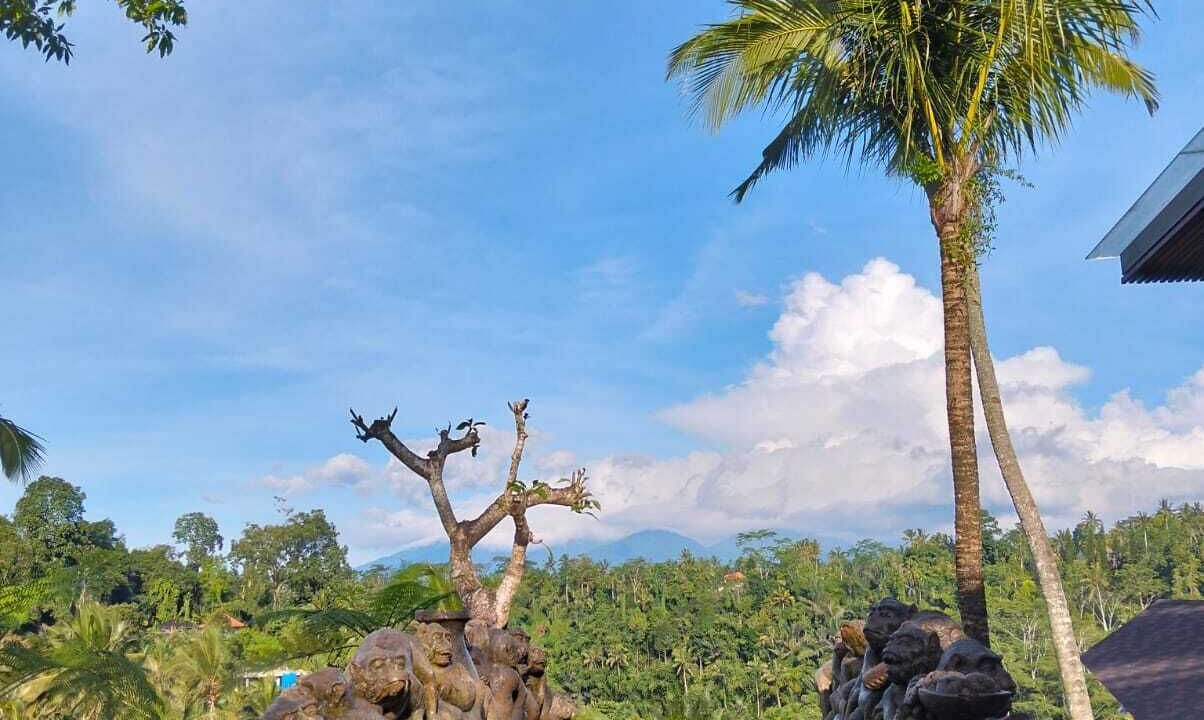 Photo of Others in Sebatu