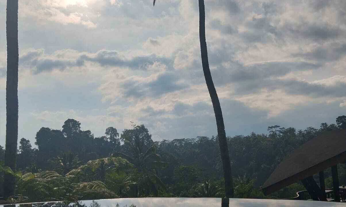 Photo of Outdoor in Sebatu