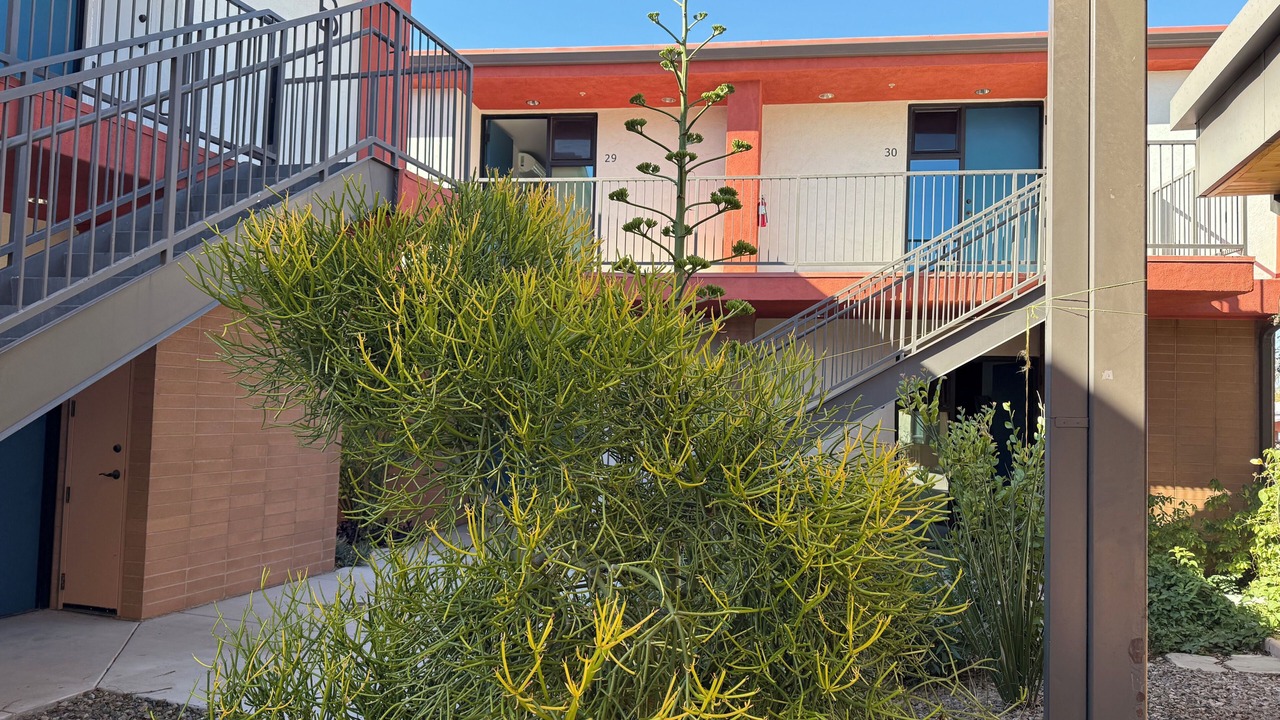 Photo of Outdoor in Barrio Viejo