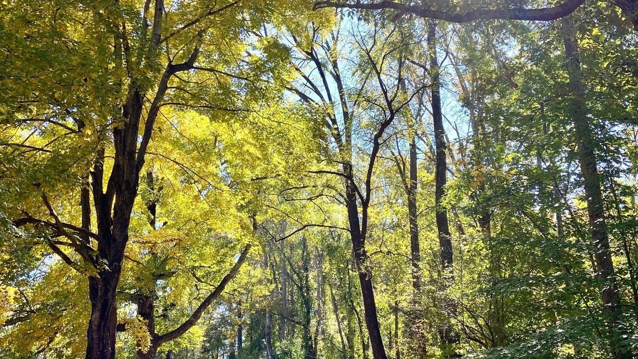 Photo of Outdoor in Amherst