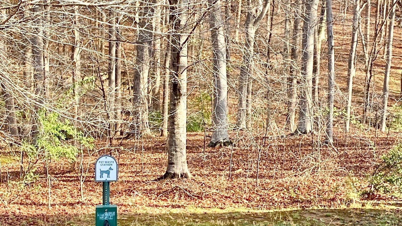 Photo of Others in Amherst