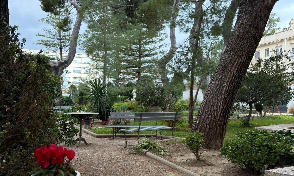 Photo of Outdoor in Jesus