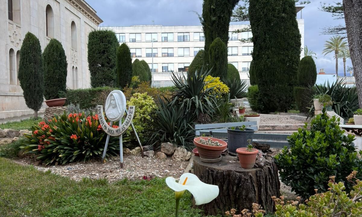 Photo of Outdoor in Jesus