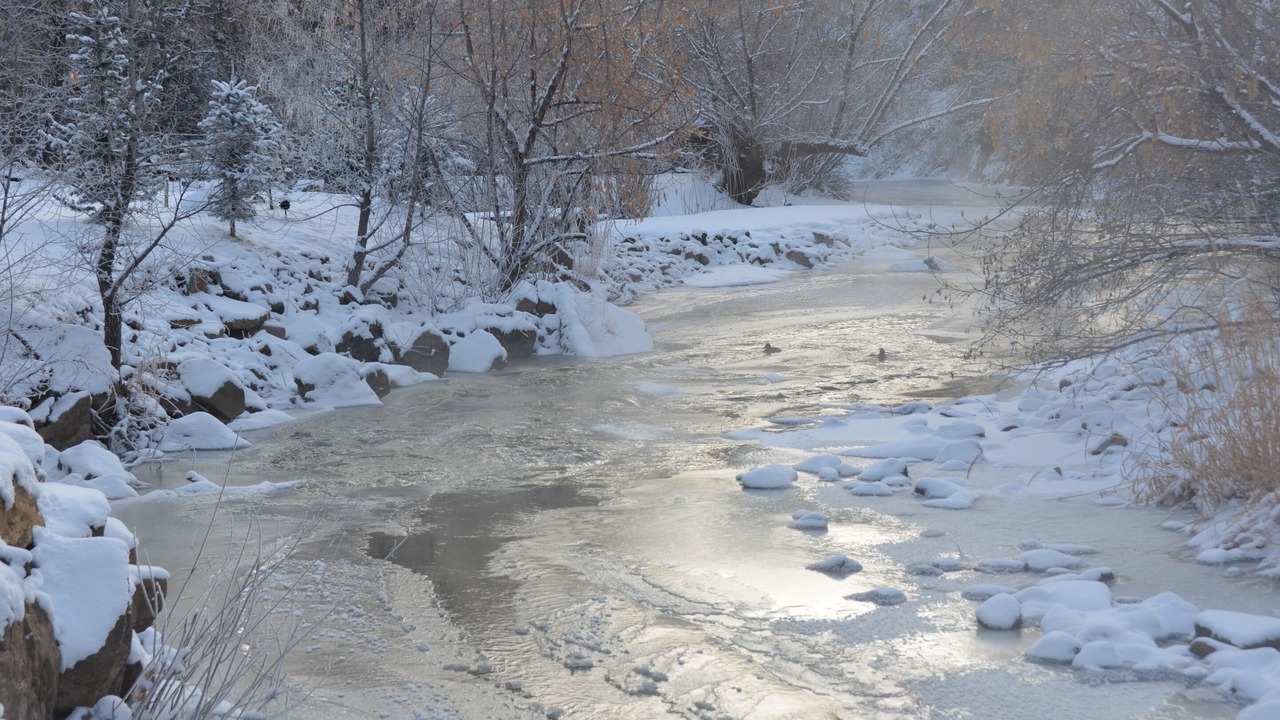 Photo of Others in Evergreen