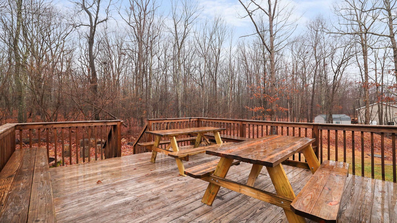 Photo of Others in Hickory Hills