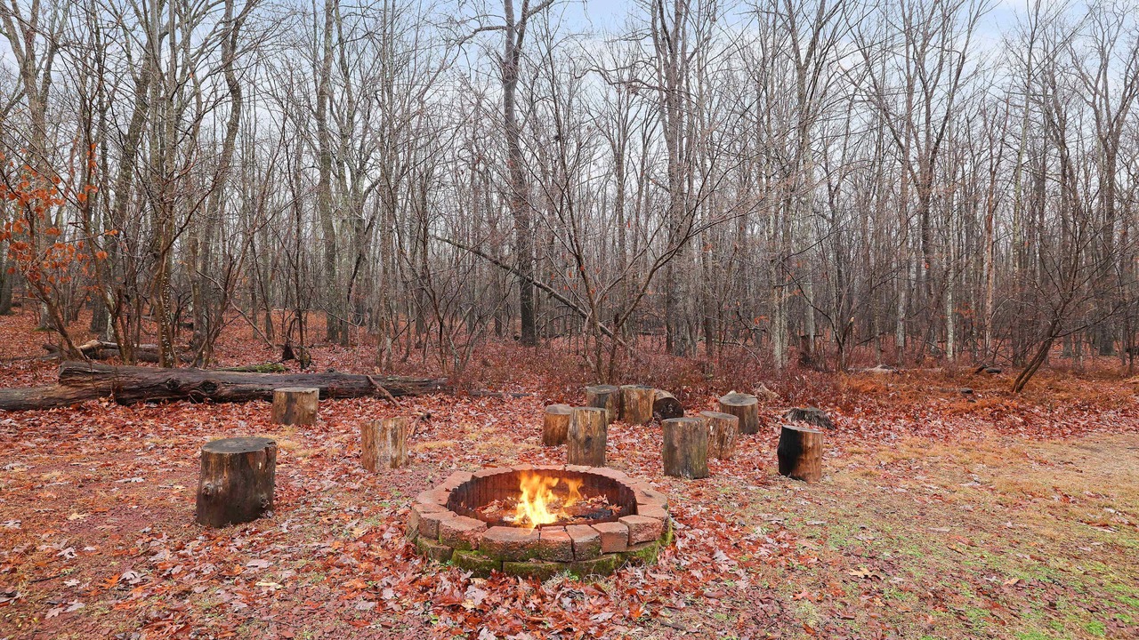 Photo of Others in Hickory Hills