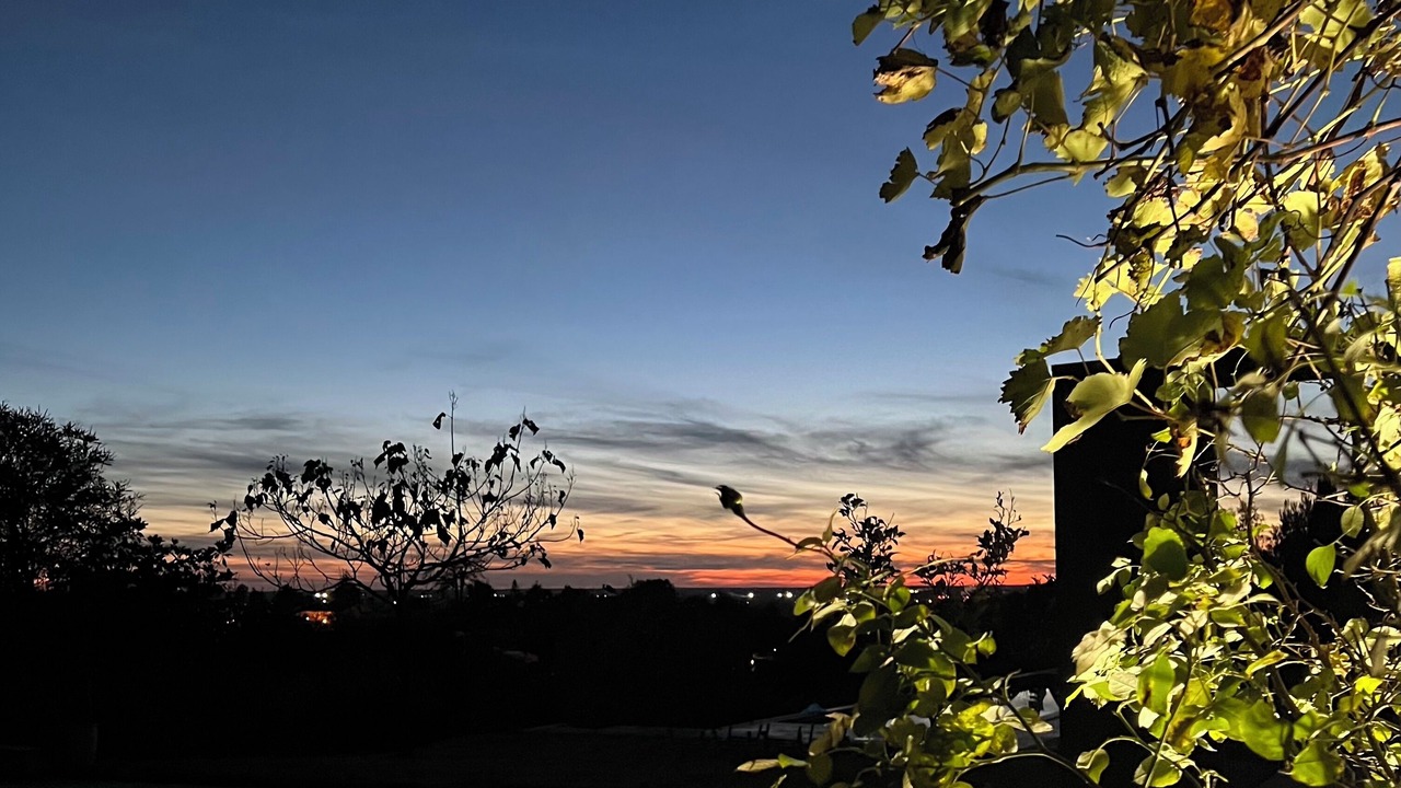 Photo of Others in Carignan-de-Bordeaux