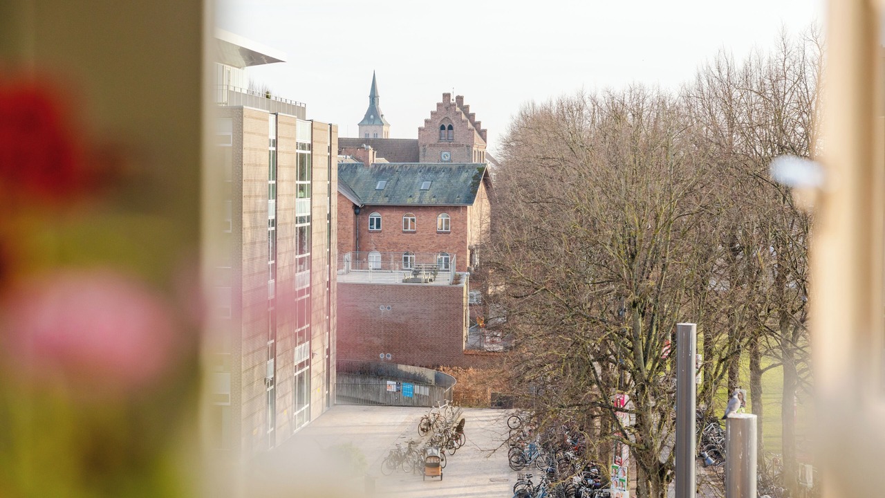Photo of Outdoor in Odense