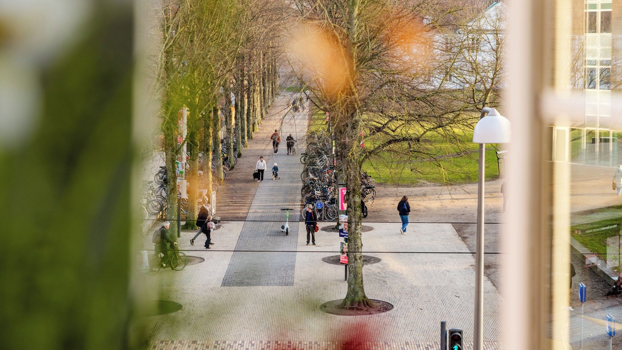 Photo of Outdoor in Odense