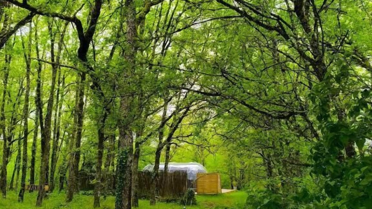 Photo of Outdoor in Escamps