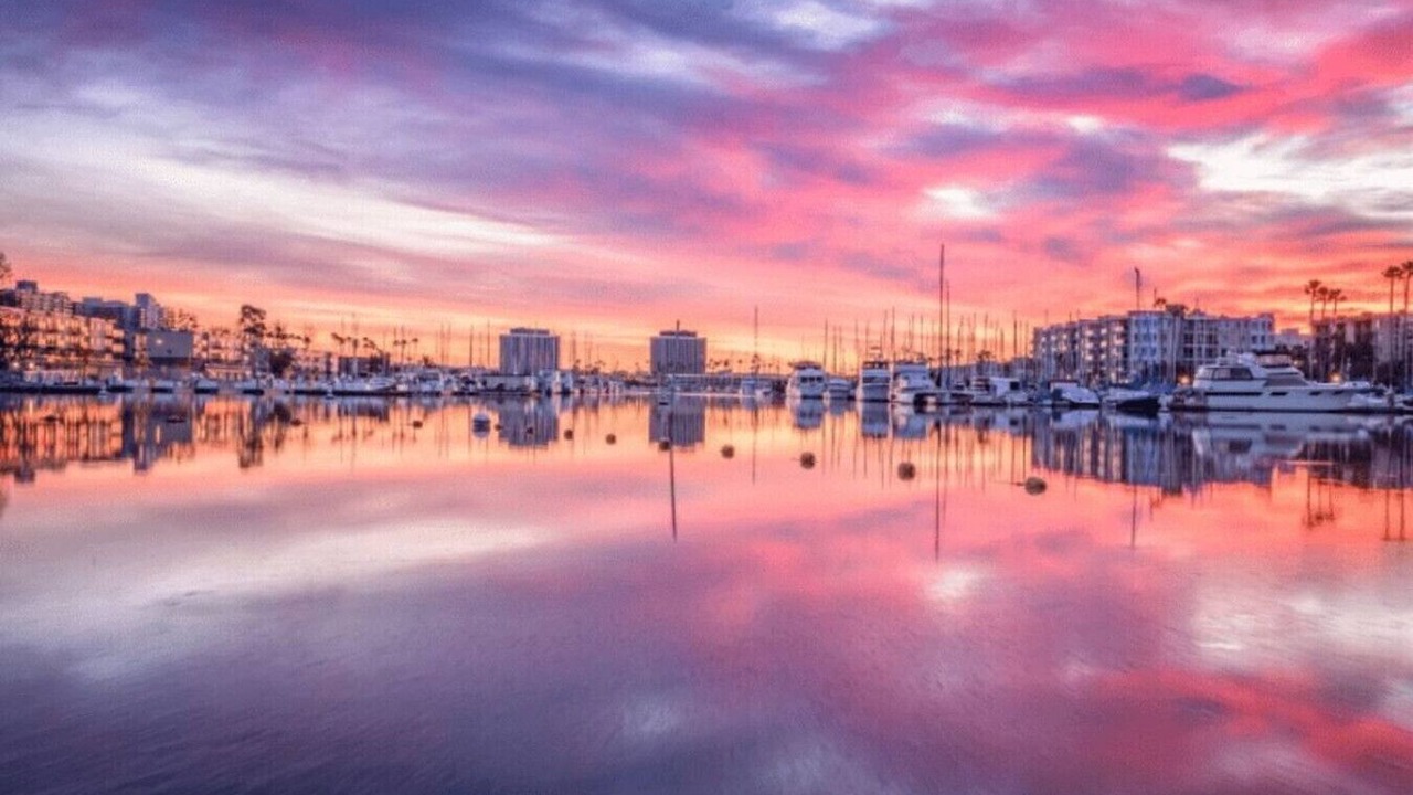 Photo of Others in Marina del Rey